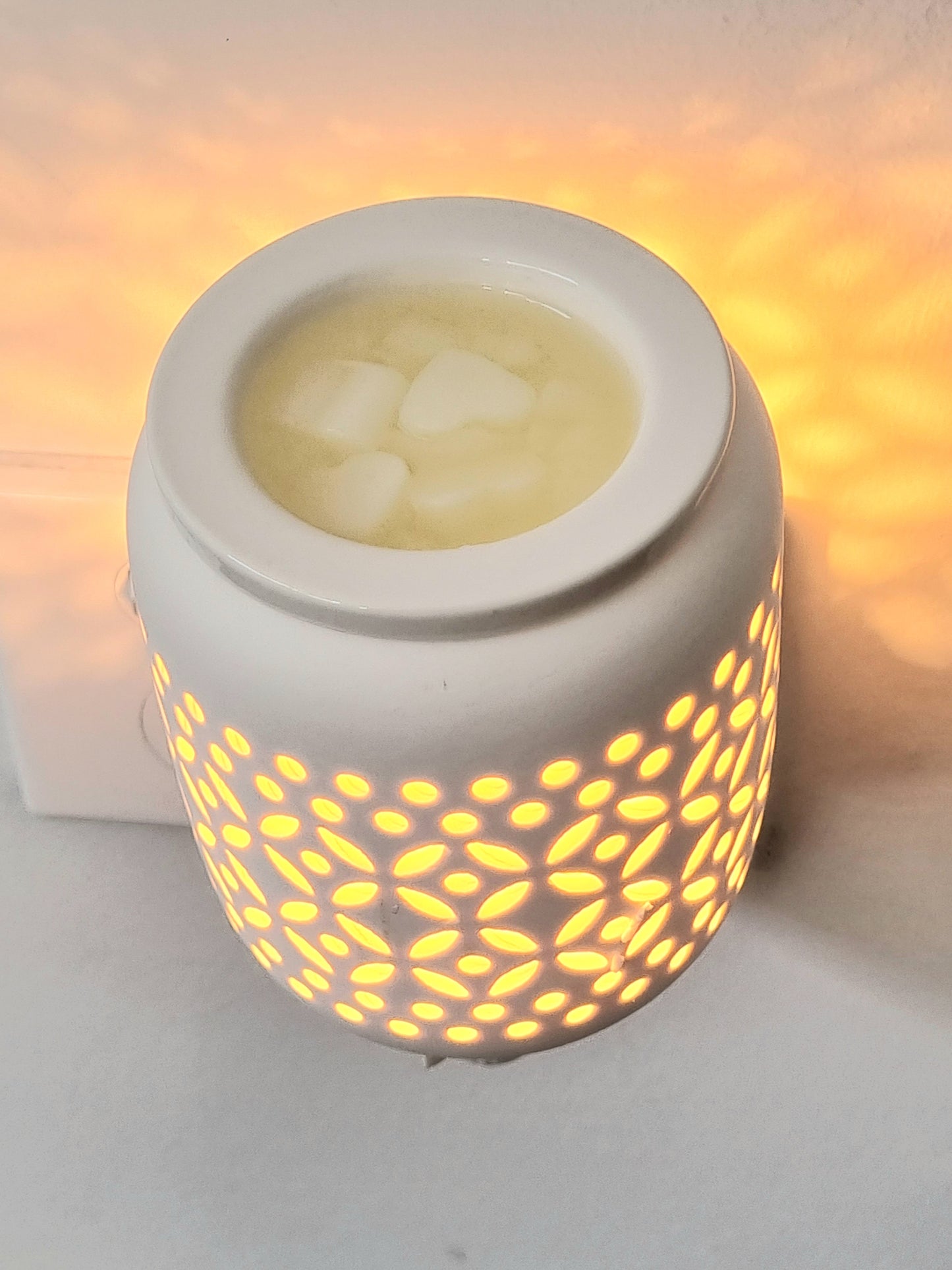 Plug-In Wax Melt Warmer